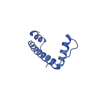 30078_6m4h_A_v1-1
Structural mechanism of nucleosome dynamics governed by human histone variants H2A.B and H2A.Z.2.2