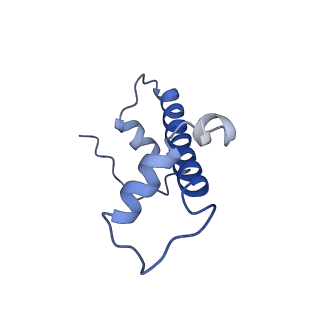 30078_6m4h_C_v1-2
Structural mechanism of nucleosome dynamics governed by human histone variants H2A.B and H2A.Z.2.2