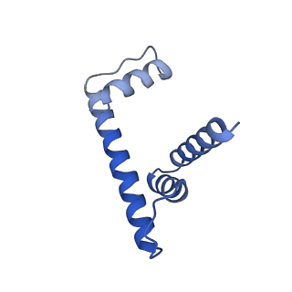 30078_6m4h_D_v1-1
Structural mechanism of nucleosome dynamics governed by human histone variants H2A.B and H2A.Z.2.2