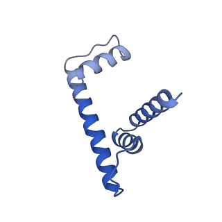 30078_6m4h_D_v1-2
Structural mechanism of nucleosome dynamics governed by human histone variants H2A.B and H2A.Z.2.2