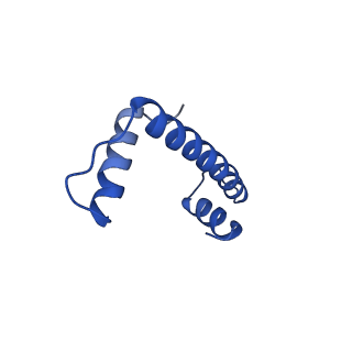 30078_6m4h_E_v1-1
Structural mechanism of nucleosome dynamics governed by human histone variants H2A.B and H2A.Z.2.2