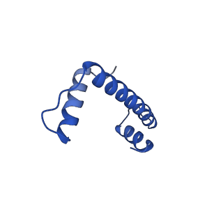 30078_6m4h_E_v1-2
Structural mechanism of nucleosome dynamics governed by human histone variants H2A.B and H2A.Z.2.2