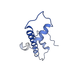 30078_6m4h_G_v1-1
Structural mechanism of nucleosome dynamics governed by human histone variants H2A.B and H2A.Z.2.2