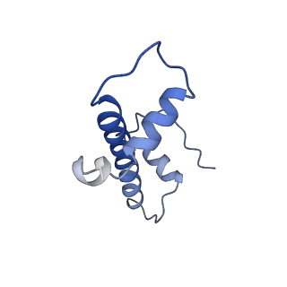 30078_6m4h_G_v1-2
Structural mechanism of nucleosome dynamics governed by human histone variants H2A.B and H2A.Z.2.2