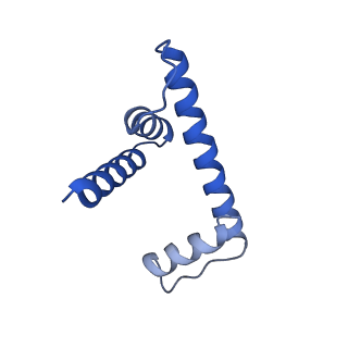 30078_6m4h_H_v1-1
Structural mechanism of nucleosome dynamics governed by human histone variants H2A.B and H2A.Z.2.2