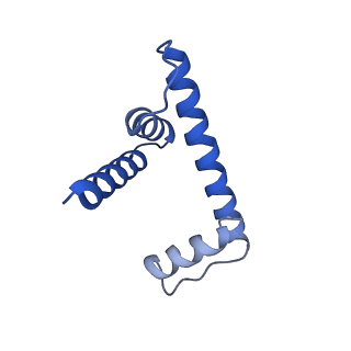 30078_6m4h_H_v1-2
Structural mechanism of nucleosome dynamics governed by human histone variants H2A.B and H2A.Z.2.2