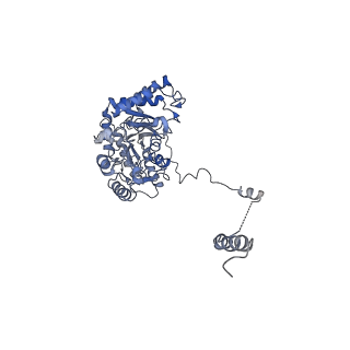 30079_6m4n_A_v1-2
Cryo-EM structure of the dimeric SPT-ORMDL3 complex