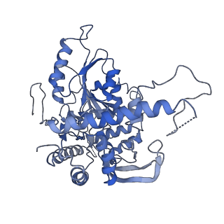 30079_6m4n_F_v1-2
Cryo-EM structure of the dimeric SPT-ORMDL3 complex