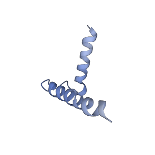 30080_6m4o_E_v1-2
Cryo-EM structure of the monomeric SPT-ORMDL3 complex