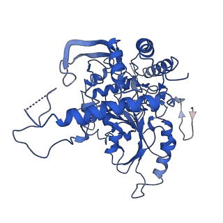 30080_6m4o_T_v1-2
Cryo-EM structure of the monomeric SPT-ORMDL3 complex