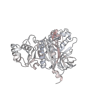 23673_7m5d_7_v1-0
Cryo-EM structure of a non-rotated E.coli 70S ribosome in complex with RF3-GTP, RF1 and P-tRNA (state I)
