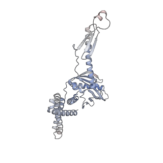 23673_7m5d_A_v1-0
Cryo-EM structure of a non-rotated E.coli 70S ribosome in complex with RF3-GTP, RF1 and P-tRNA (state I)
