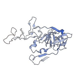 23673_7m5d_B_v1-0
Cryo-EM structure of a non-rotated E.coli 70S ribosome in complex with RF3-GTP, RF1 and P-tRNA (state I)
