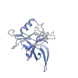 23673_7m5d_C_v1-0
Cryo-EM structure of a non-rotated E.coli 70S ribosome in complex with RF3-GTP, RF1 and P-tRNA (state I)
