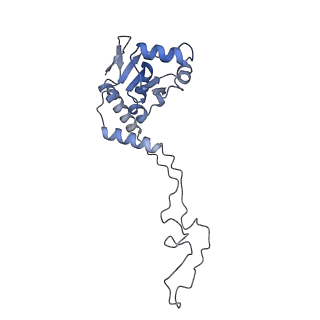 23673_7m5d_D_v1-0
Cryo-EM structure of a non-rotated E.coli 70S ribosome in complex with RF3-GTP, RF1 and P-tRNA (state I)