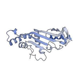 23673_7m5d_E_v1-0
Cryo-EM structure of a non-rotated E.coli 70S ribosome in complex with RF3-GTP, RF1 and P-tRNA (state I)