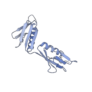 23673_7m5d_F_v1-0
Cryo-EM structure of a non-rotated E.coli 70S ribosome in complex with RF3-GTP, RF1 and P-tRNA (state I)