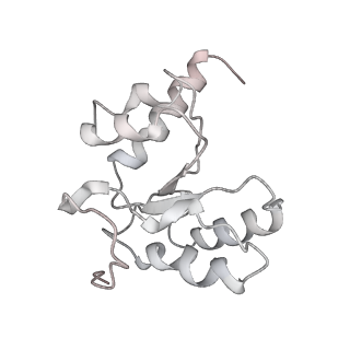 23673_7m5d_H_v1-0
Cryo-EM structure of a non-rotated E.coli 70S ribosome in complex with RF3-GTP, RF1 and P-tRNA (state I)