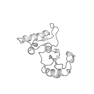 23673_7m5d_I_v1-0
Cryo-EM structure of a non-rotated E.coli 70S ribosome in complex with RF3-GTP, RF1 and P-tRNA (state I)