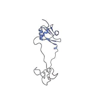 23673_7m5d_L_v1-0
Cryo-EM structure of a non-rotated E.coli 70S ribosome in complex with RF3-GTP, RF1 and P-tRNA (state I)