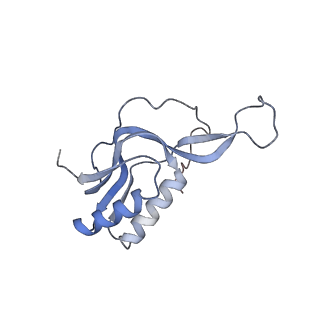 23673_7m5d_M_v1-0
Cryo-EM structure of a non-rotated E.coli 70S ribosome in complex with RF3-GTP, RF1 and P-tRNA (state I)