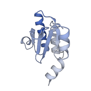 23673_7m5d_O_v1-0
Cryo-EM structure of a non-rotated E.coli 70S ribosome in complex with RF3-GTP, RF1 and P-tRNA (state I)