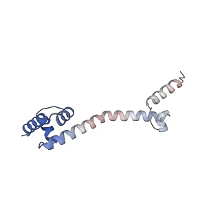 23673_7m5d_Q_v1-0
Cryo-EM structure of a non-rotated E.coli 70S ribosome in complex with RF3-GTP, RF1 and P-tRNA (state I)