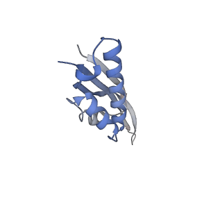 23673_7m5d_S_v1-0
Cryo-EM structure of a non-rotated E.coli 70S ribosome in complex with RF3-GTP, RF1 and P-tRNA (state I)