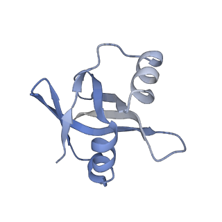 23673_7m5d_V_v1-0
Cryo-EM structure of a non-rotated E.coli 70S ribosome in complex with RF3-GTP, RF1 and P-tRNA (state I)
