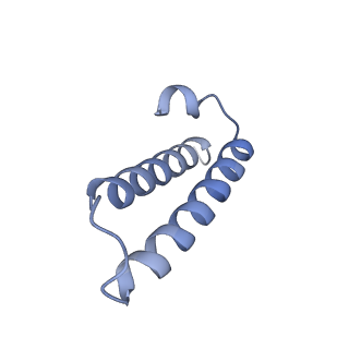 23673_7m5d_Y_v1-0
Cryo-EM structure of a non-rotated E.coli 70S ribosome in complex with RF3-GTP, RF1 and P-tRNA (state I)