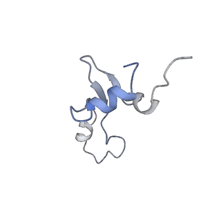 23673_7m5d_e_v1-0
Cryo-EM structure of a non-rotated E.coli 70S ribosome in complex with RF3-GTP, RF1 and P-tRNA (state I)