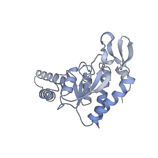 23673_7m5d_g_v1-0
Cryo-EM structure of a non-rotated E.coli 70S ribosome in complex with RF3-GTP, RF1 and P-tRNA (state I)