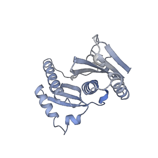 23673_7m5d_h_v1-0
Cryo-EM structure of a non-rotated E.coli 70S ribosome in complex with RF3-GTP, RF1 and P-tRNA (state I)