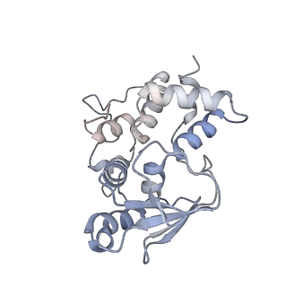 23673_7m5d_i_v1-0
Cryo-EM structure of a non-rotated E.coli 70S ribosome in complex with RF3-GTP, RF1 and P-tRNA (state I)