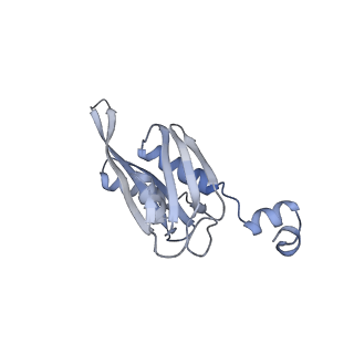 23673_7m5d_j_v1-0
Cryo-EM structure of a non-rotated E.coli 70S ribosome in complex with RF3-GTP, RF1 and P-tRNA (state I)