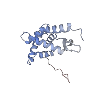 23673_7m5d_l_v1-0
Cryo-EM structure of a non-rotated E.coli 70S ribosome in complex with RF3-GTP, RF1 and P-tRNA (state I)
