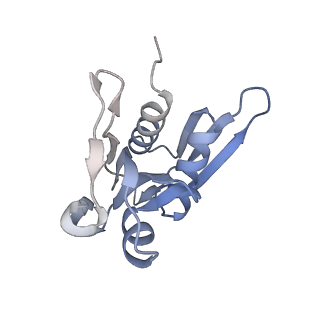 23673_7m5d_m_v1-0
Cryo-EM structure of a non-rotated E.coli 70S ribosome in complex with RF3-GTP, RF1 and P-tRNA (state I)