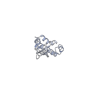 23673_7m5d_n_v1-0
Cryo-EM structure of a non-rotated E.coli 70S ribosome in complex with RF3-GTP, RF1 and P-tRNA (state I)