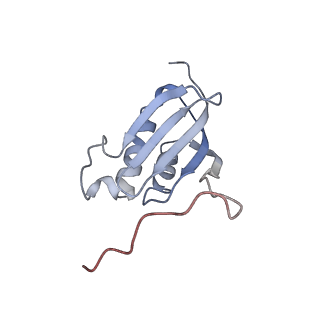23673_7m5d_p_v1-0
Cryo-EM structure of a non-rotated E.coli 70S ribosome in complex with RF3-GTP, RF1 and P-tRNA (state I)