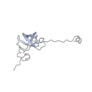23673_7m5d_q_v1-0
Cryo-EM structure of a non-rotated E.coli 70S ribosome in complex with RF3-GTP, RF1 and P-tRNA (state I)