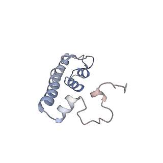 23673_7m5d_r_v1-0
Cryo-EM structure of a non-rotated E.coli 70S ribosome in complex with RF3-GTP, RF1 and P-tRNA (state I)