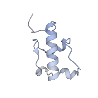 23673_7m5d_w_v1-0
Cryo-EM structure of a non-rotated E.coli 70S ribosome in complex with RF3-GTP, RF1 and P-tRNA (state I)
