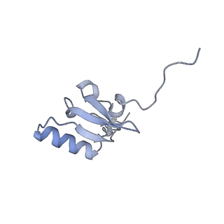 23673_7m5d_x_v1-0
Cryo-EM structure of a non-rotated E.coli 70S ribosome in complex with RF3-GTP, RF1 and P-tRNA (state I)