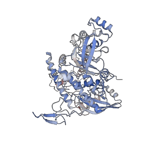 23678_7m5o_A_v1-1
Cryo-EM structure of CasPhi-2 (Cas12j) bound to crRNA