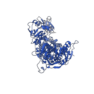 23683_7m5v_A_v1-0
human ATP13A2 in the AMPPNP-bound occluded state
