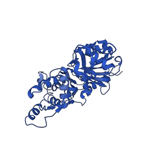 30085_6m5g_A_v1-2
F-actin-Utrophin complex