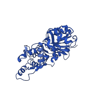 30085_6m5g_A_v1-3
F-actin-Utrophin complex