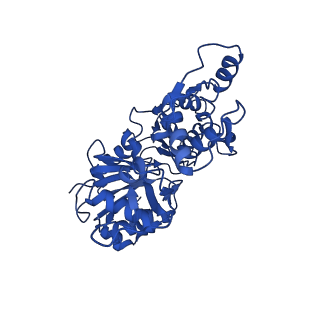 30085_6m5g_B_v1-2
F-actin-Utrophin complex
