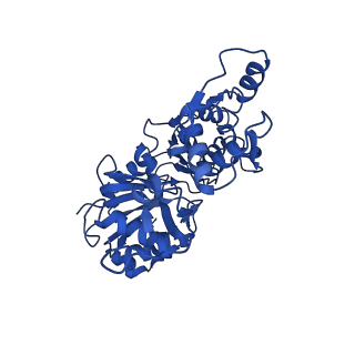 30085_6m5g_B_v1-3
F-actin-Utrophin complex