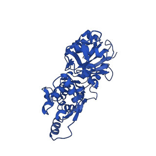 30085_6m5g_C_v1-2
F-actin-Utrophin complex